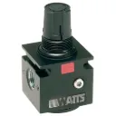 Régulateur de pression 1/2" NPT 0-125 PSI, 60 SCFM, 2 ports 1/8" NPT